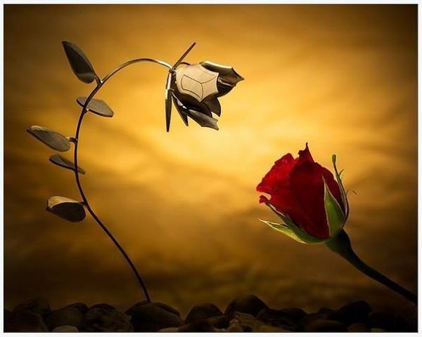 გონივრულის მსურველი საპირისპიროს ესწრაფვის კაცი, ორჭოფი, გაორებული აზრებით