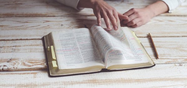 ნება ღვთისა და კაცისა ქართულ სიტყვებში "ნების" შემადგენლით