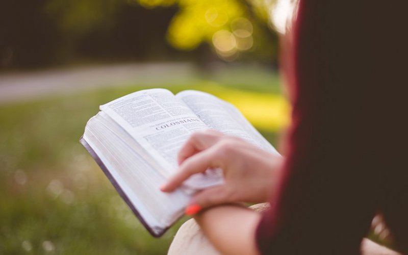 პირველი ნაცნობობა ბიბლიასთან