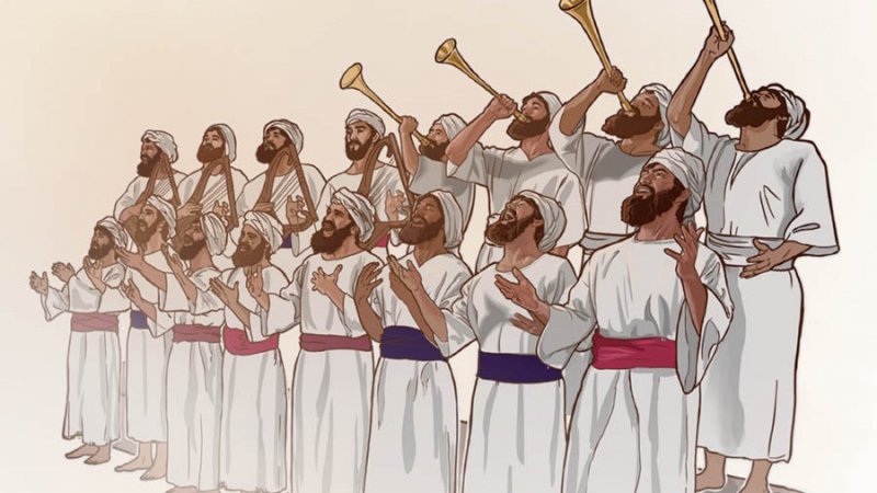 საქმიანობა