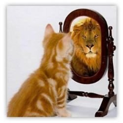 საკუთარ ქონში ჩაიკეტნენ, ამპარტავნობენ