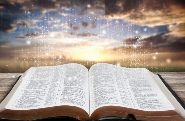 სიბრძნის შესახებ