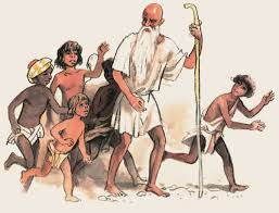 სიქაჩლე, სიმელოტე, თმის გლეჯა, ცვენა, პარსვა