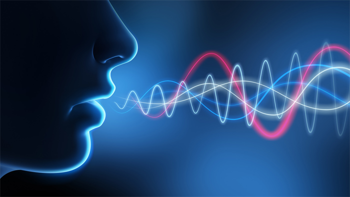 სიტყვა "ხმა" ბიბლიაში