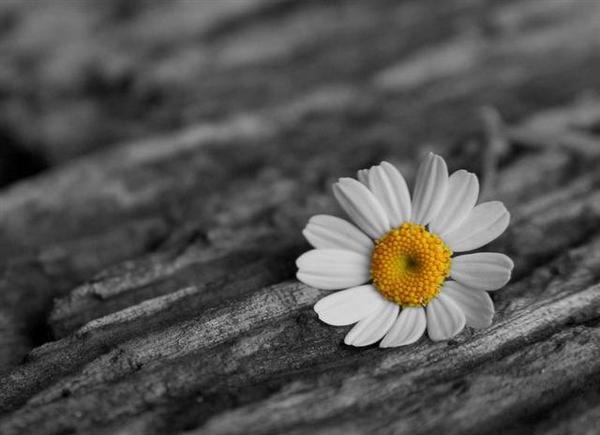 უბრალოება