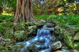 ვისაც სწყურია მოვიდეს და დალიოს